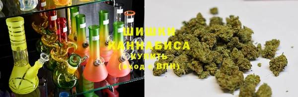 МДПВ Богородицк