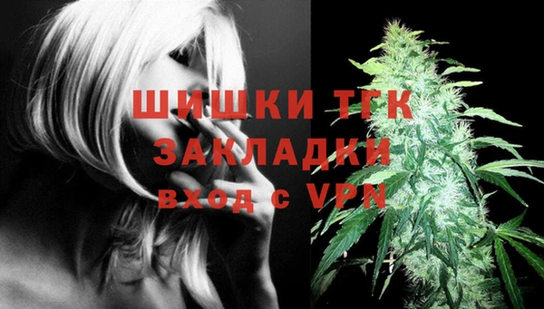 МДПВ Богородицк