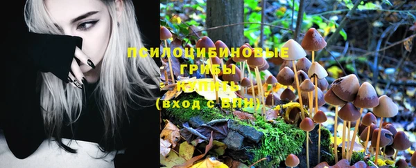 герыч Михайлов
