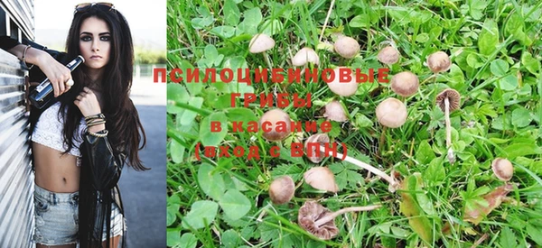 наркотики Богданович